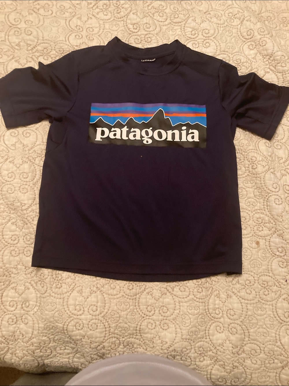 Patagonia tee